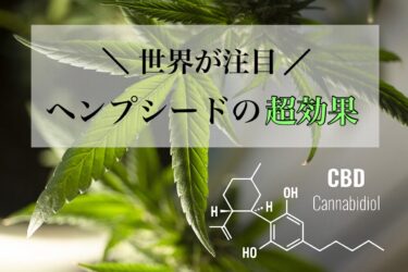 世界が注目！ヘンプシードの超効果！