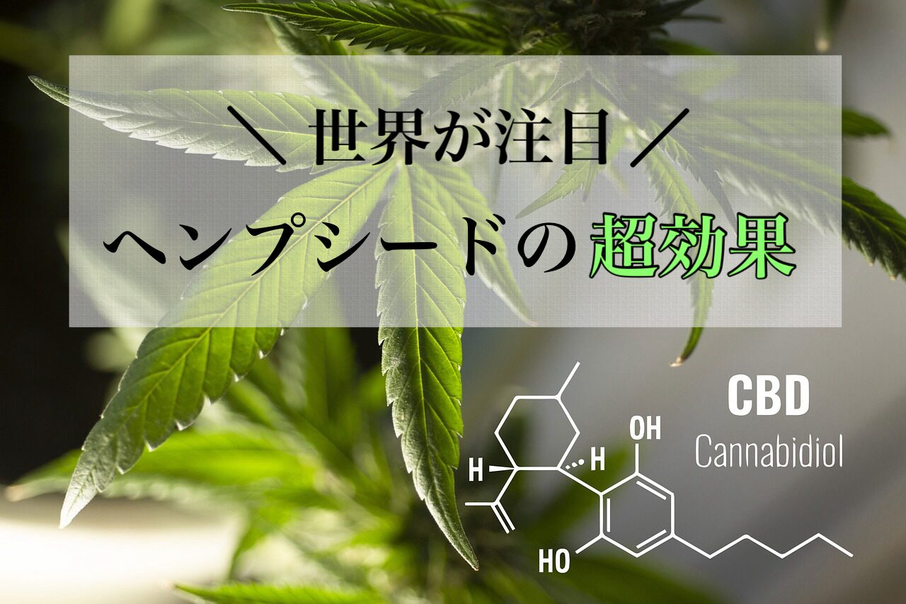 世界が注目!ヘンプシードの超効果!